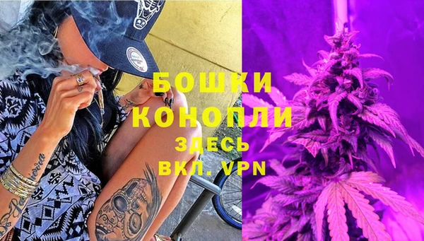 Альфа ПВП Лабытнанги