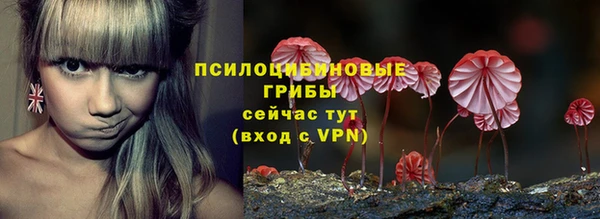 Альфа ПВП Лабытнанги
