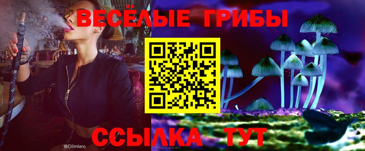 Нижний Тагил  Псилоцибиновые грибы Cubensis  Вход с VPN 