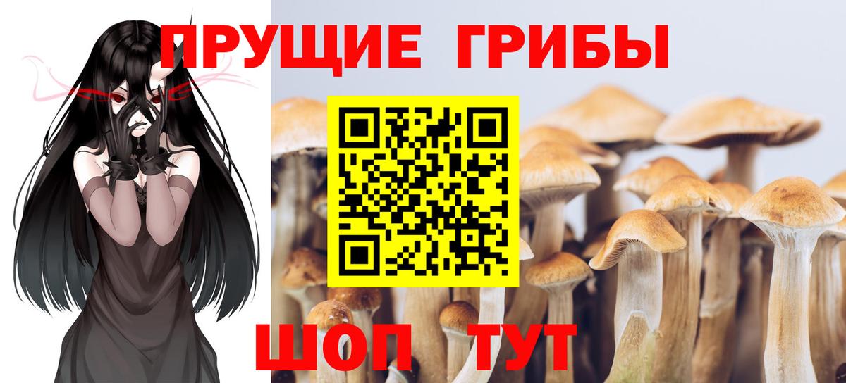 Псилоцибиновые грибы прущие грибы Нижний Тагил